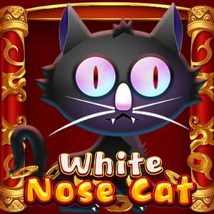 White Nose Cat screenshot