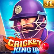 Cricket King 18 screenshot
